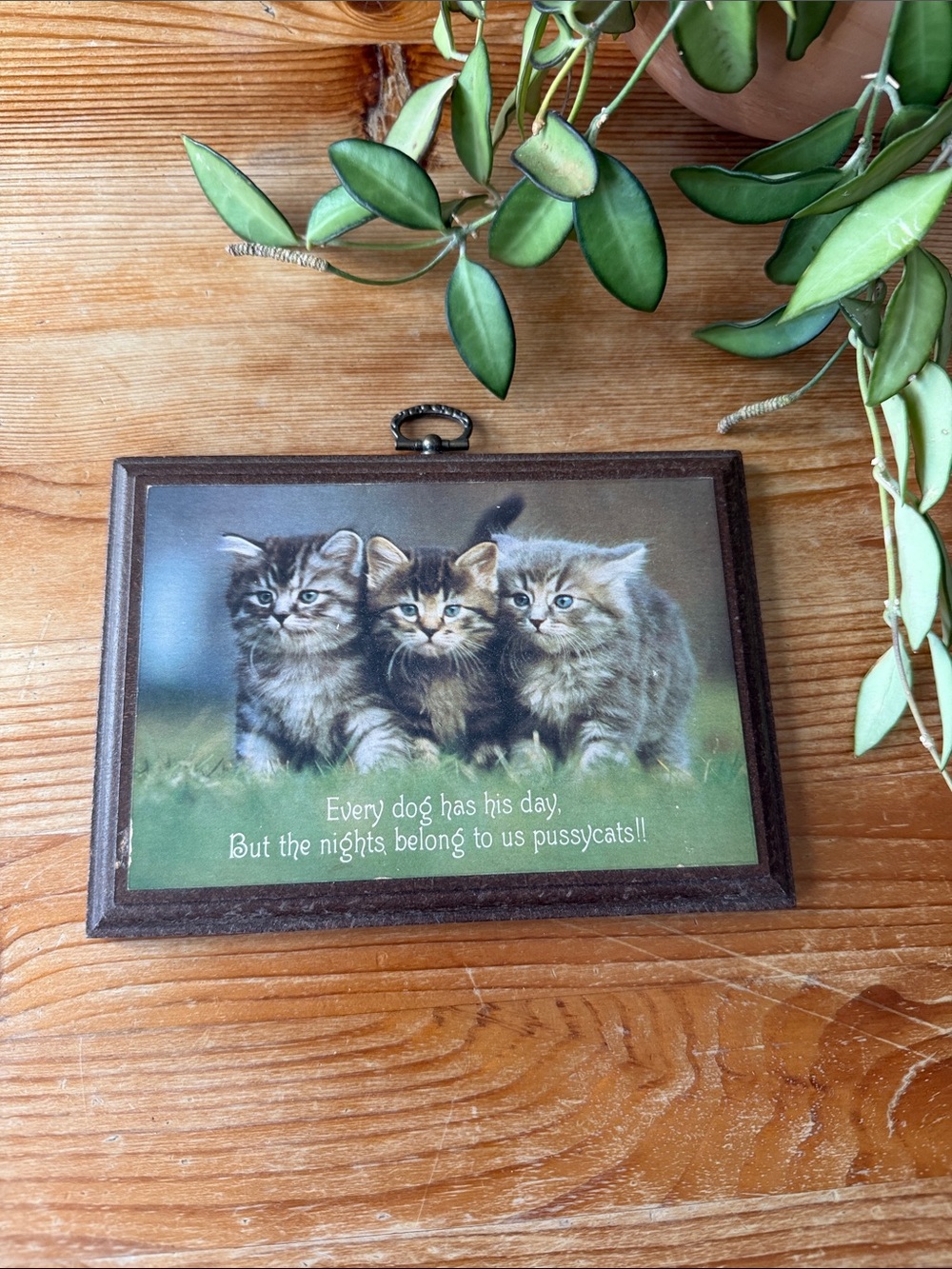 Vintage Cat Plaque Wall Art